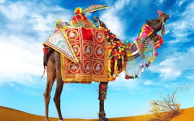 RAJSTHAN TOUR PACKAGE-6